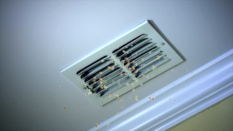 Best HVAC Maintenance and Cleaning  in Newberry, SC